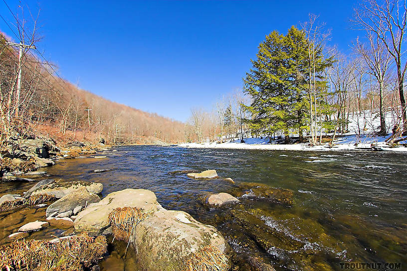  From Willowemoc Creek in New York.