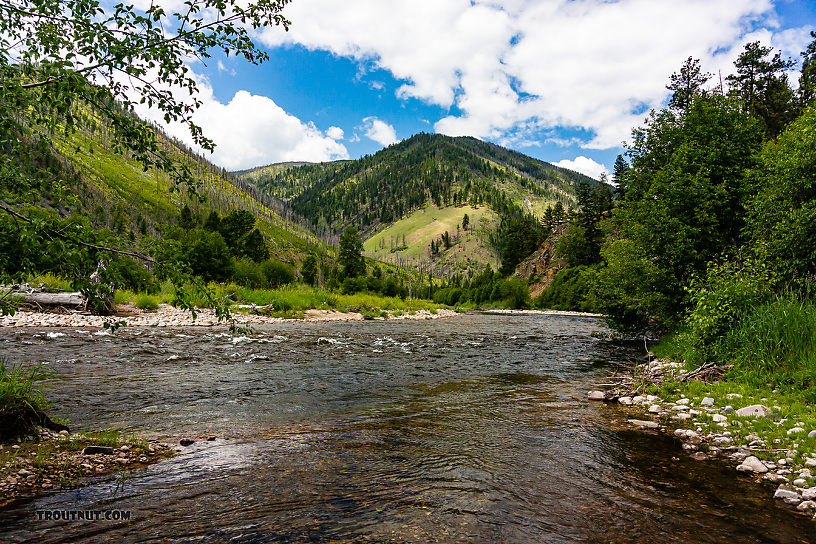  From Rock Creek in Montana.