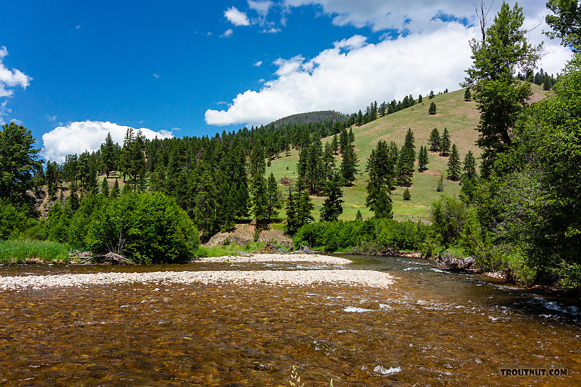  From Rock Creek in Montana.