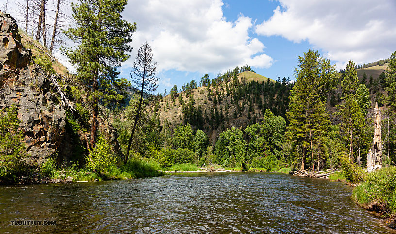  From Rock Creek in Montana.