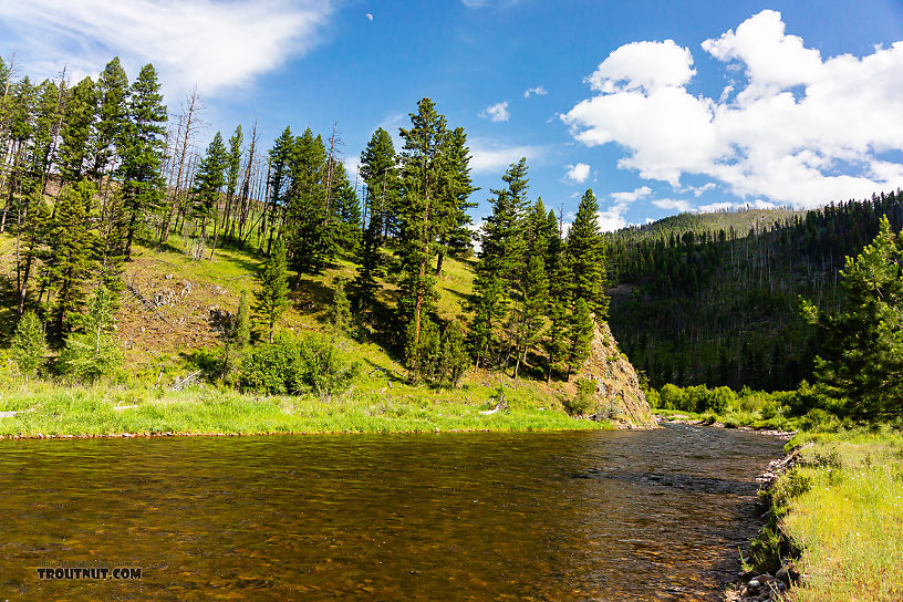  From Rock Creek in Montana.