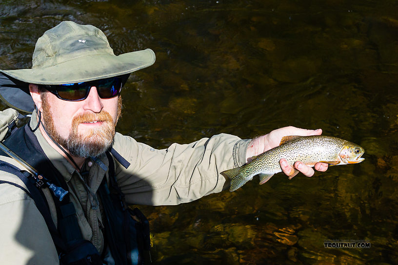  From Rock Creek in Montana.