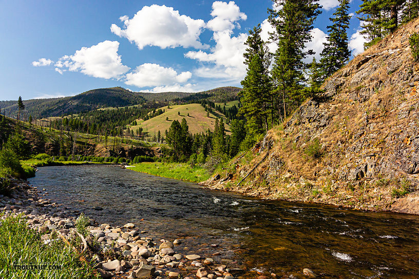  From Rock Creek in Montana.