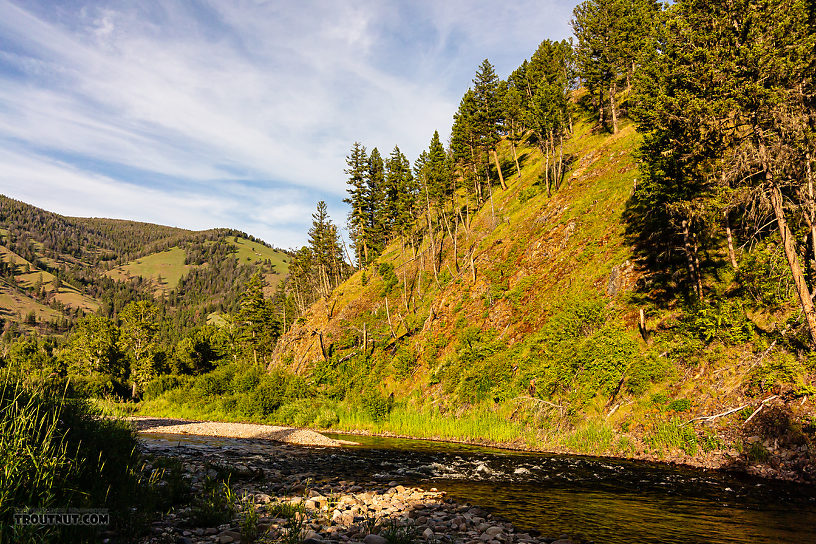  From Rock Creek in Montana.