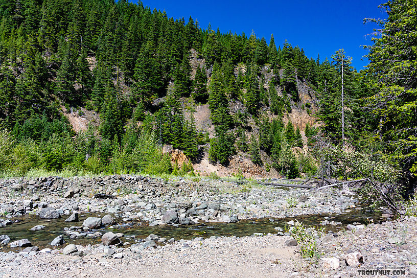 View from the access point. From Mystery Creek # 249 in Washington.