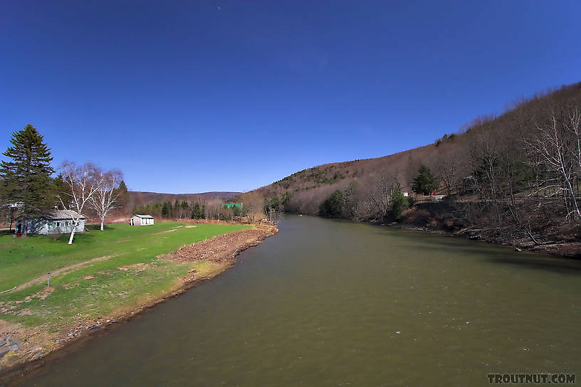  From the West Branch of the Delaware River in New York.