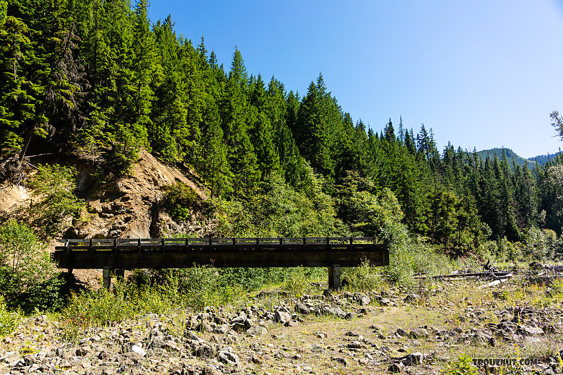 There used to be a well-maintained road running up this creek. Now, not so much. From Mystery Creek # 249 in Washington.