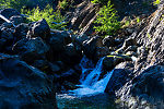 Below this pool, I caught a mixture of rainbows, westslope cutthroats, and a few apparent coastal cutthroats. Above it (and a canyon full of similar but not quite so extreme drops), there were only westslope cutthroat. From Mystery Creek # 249 in Washington.