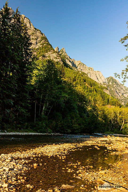  From the Middle Fork Snoqualmie River in Washington.