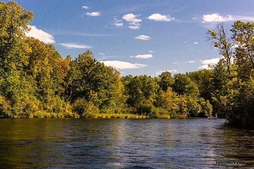  From the Namekagon River in Wisconsin.