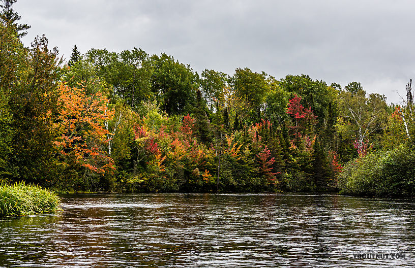  From the Namekagon River in Wisconsin.