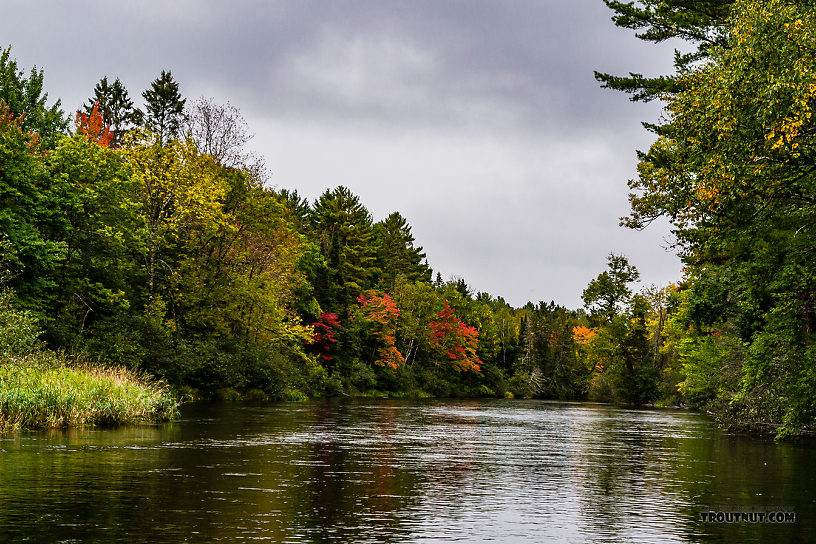  From the Namekagon River in Wisconsin.