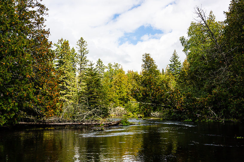  From the Bois Brule River in Wisconsin.