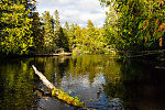  From the Bois Brule River in Wisconsin.