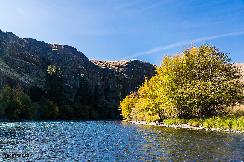  From the Yakima River in Washington.