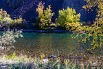  From the Yakima River in Washington.