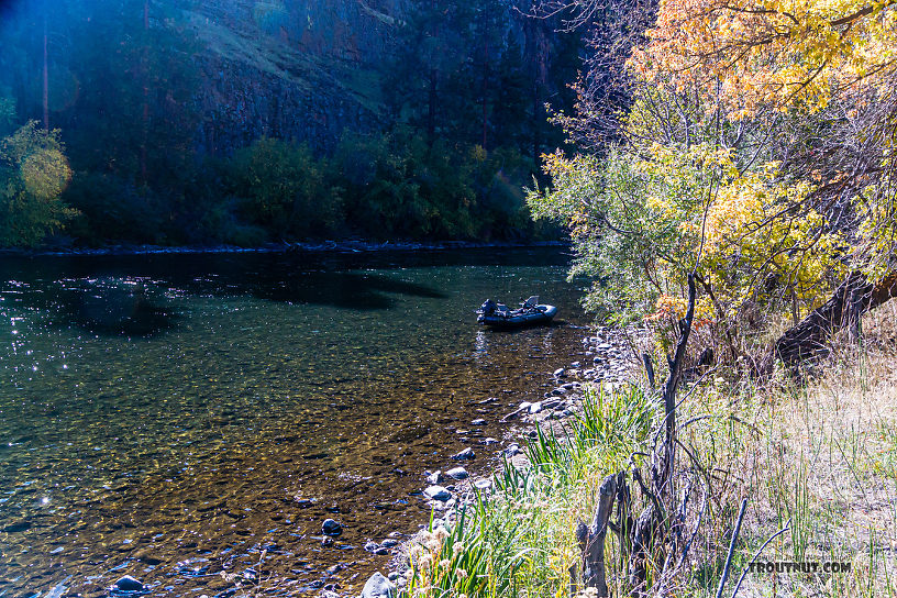 I love how easy it is to park this boat just by dropping anchor in the quiet shallows, without having to tie it up anywhere or drag it onto shore. From the Yakima River in Washington.