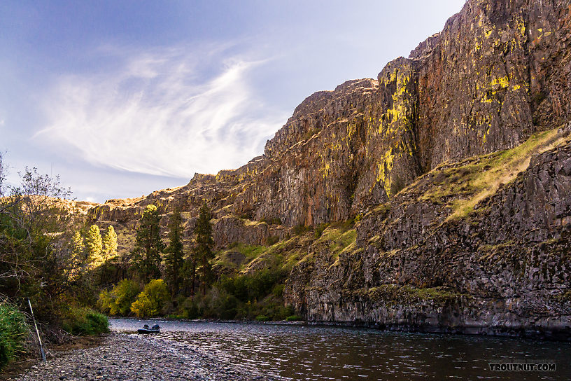  From the Yakima River in Washington.