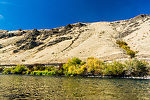  From the Yakima River in Washington.