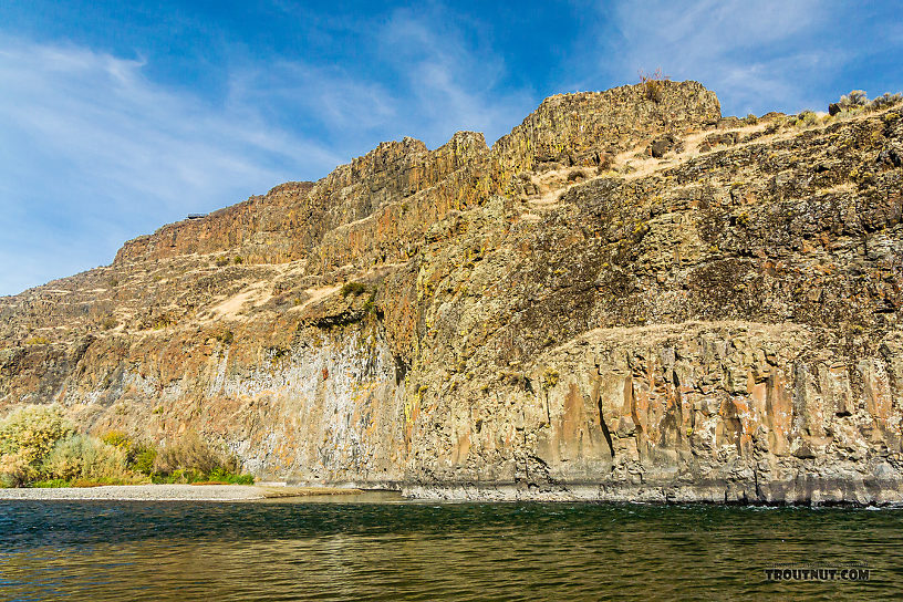  From the Yakima River in Washington.