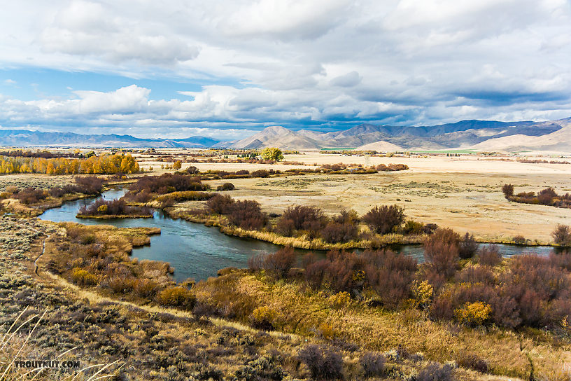  From Silver Creek in Idaho.