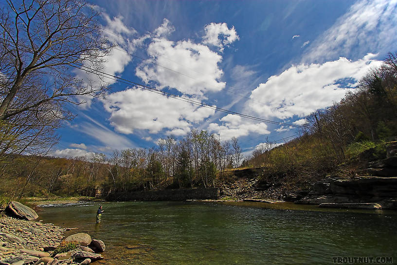  From the Beaverkill River, Cooks Falls Pool in New York.