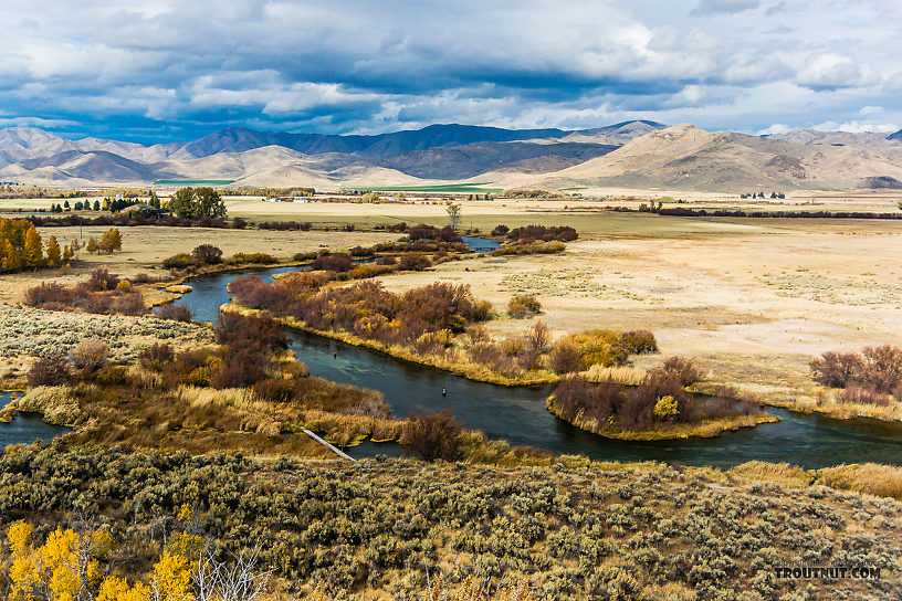  From Silver Creek in Idaho.