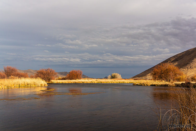  From Silver Creek in Idaho.