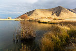  From Silver Creek in Idaho.