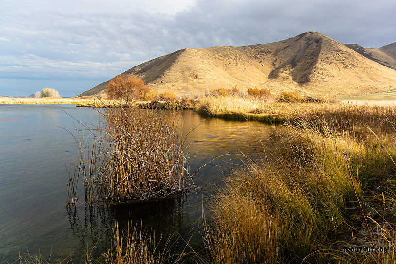  From Silver Creek in Idaho.