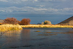  From Silver Creek in Idaho.