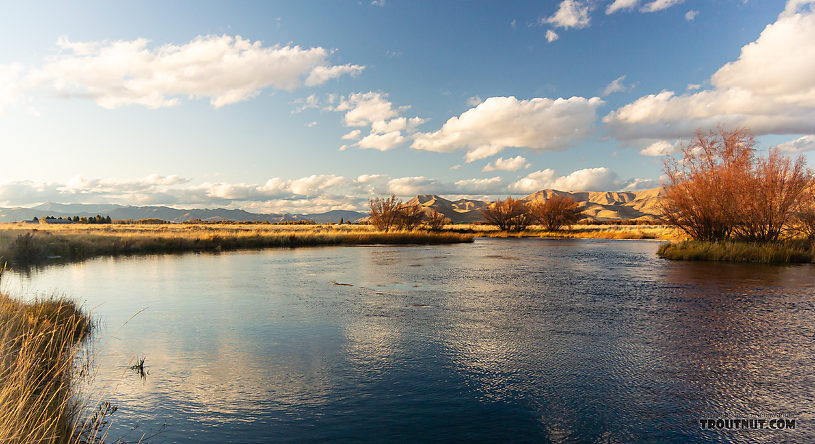  From Silver Creek in Idaho.