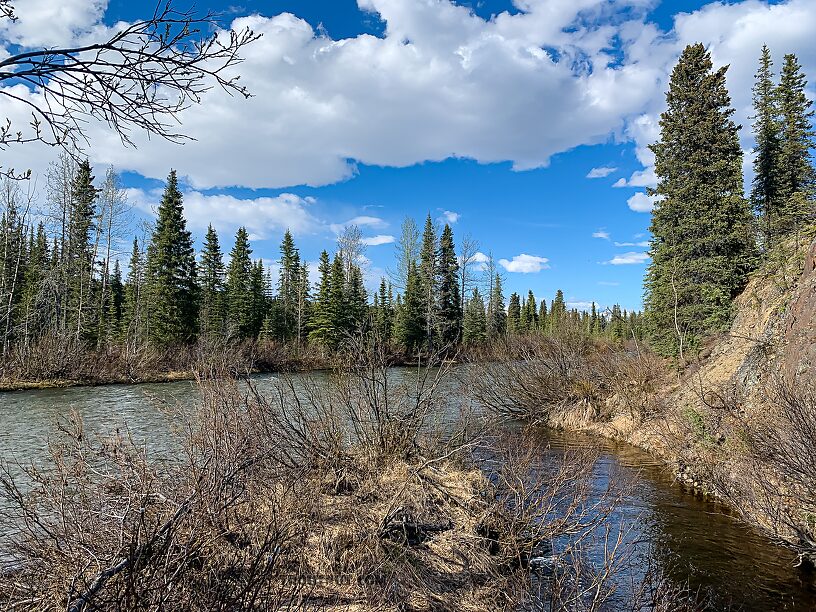  From Mystery Creek # 252 in Alaska.