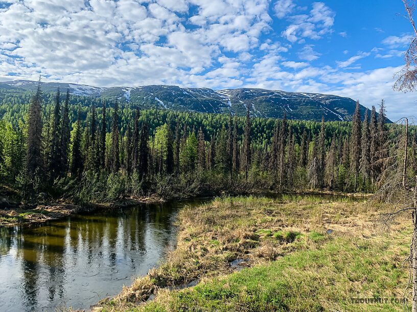  From Byers Creek in Alaska.