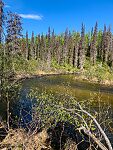  From Byers Creek in Alaska.