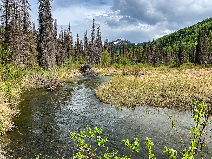  From Byers Creek in Alaska.