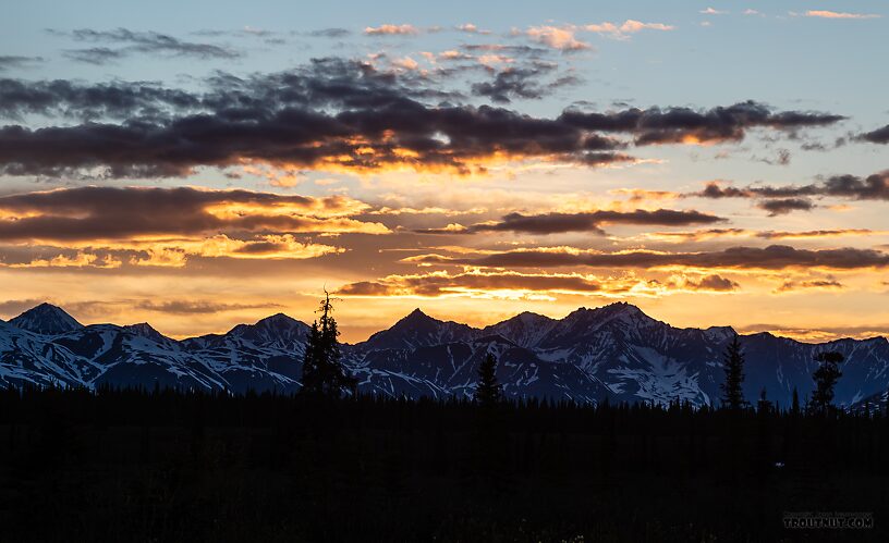  From Parks Highway in Alaska.