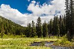  From the South Fork Manastash Creek in Washington.