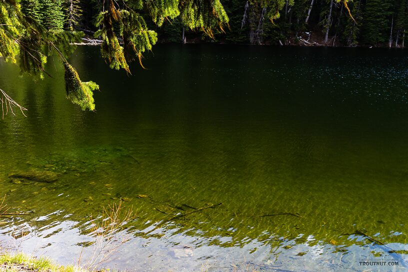  From Taneum Lake in Washington.