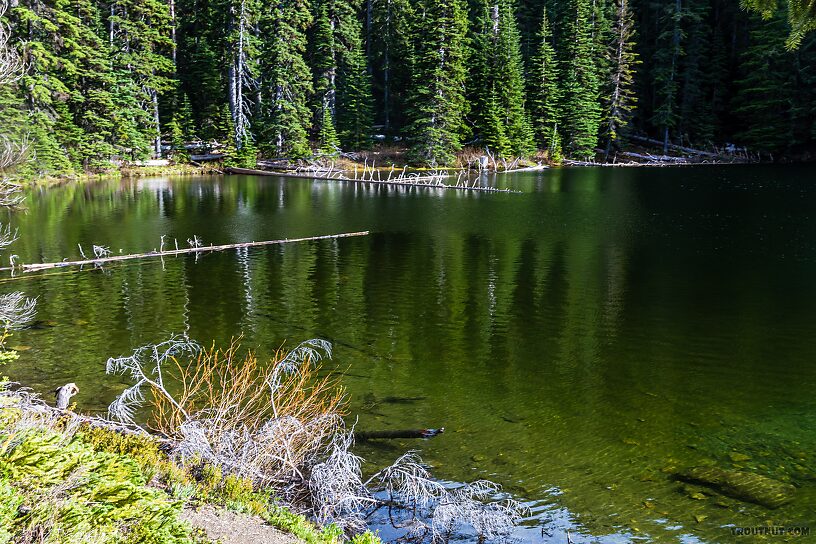  From Taneum Lake in Washington.