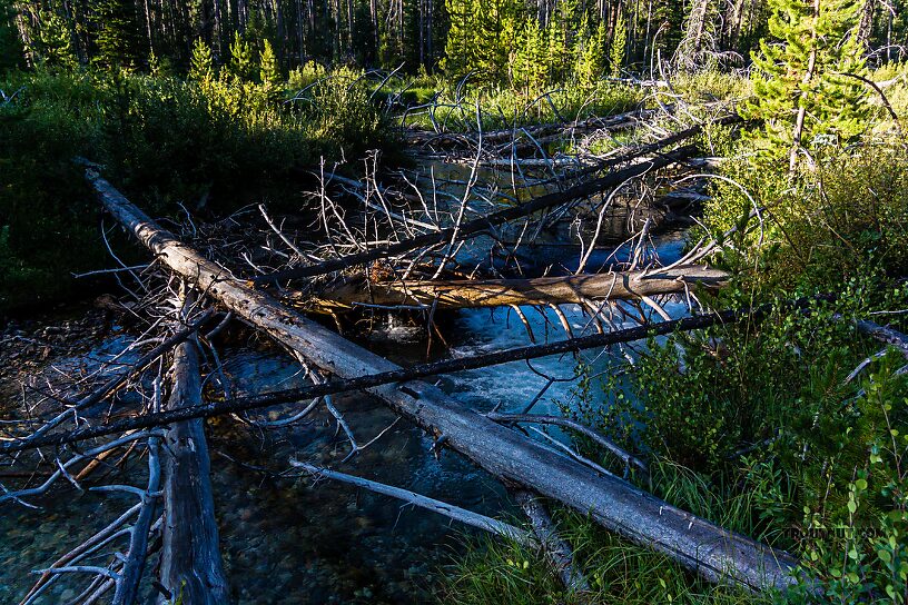  From Mystery Creek # 256 in Idaho.