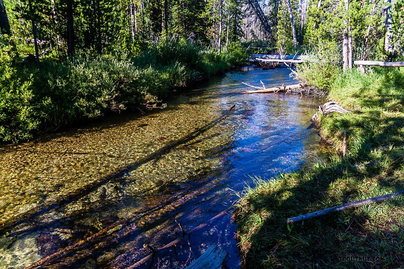  From Mystery Creek # 256 in Idaho.