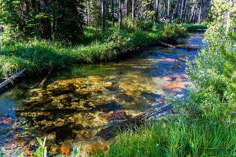  From Mystery Creek # 256 in Idaho.