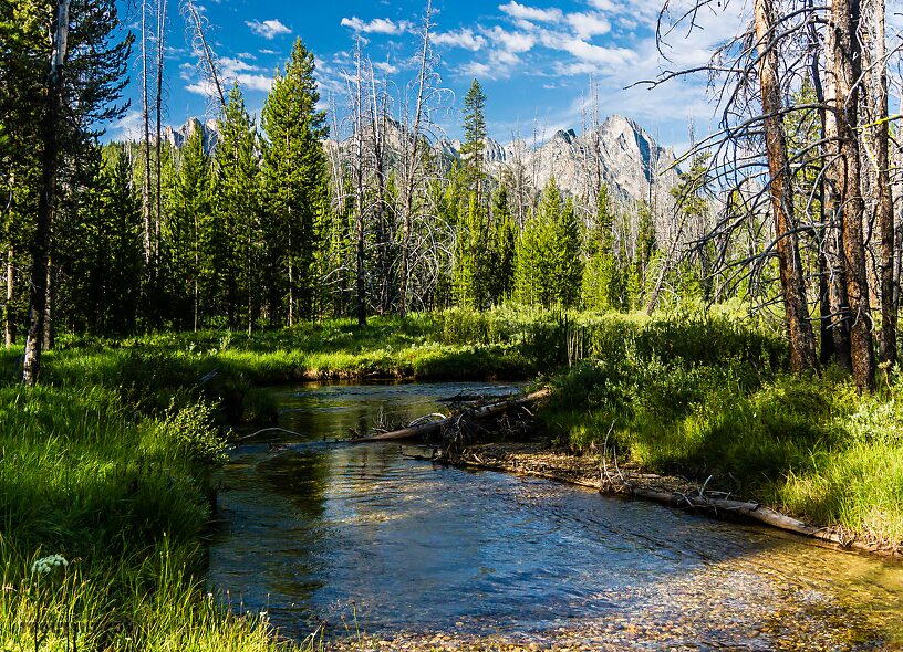  From Mystery Creek # 256 in Idaho.