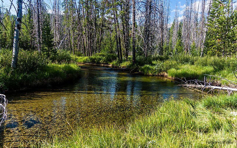  From Mystery Creek # 256 in Idaho.