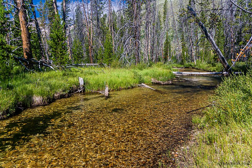  From Mystery Creek # 256 in Idaho.