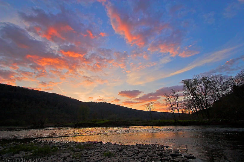  From the West Branch of the Delaware River in New York.