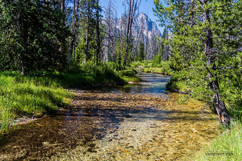  From Mystery Creek # 256 in Idaho.