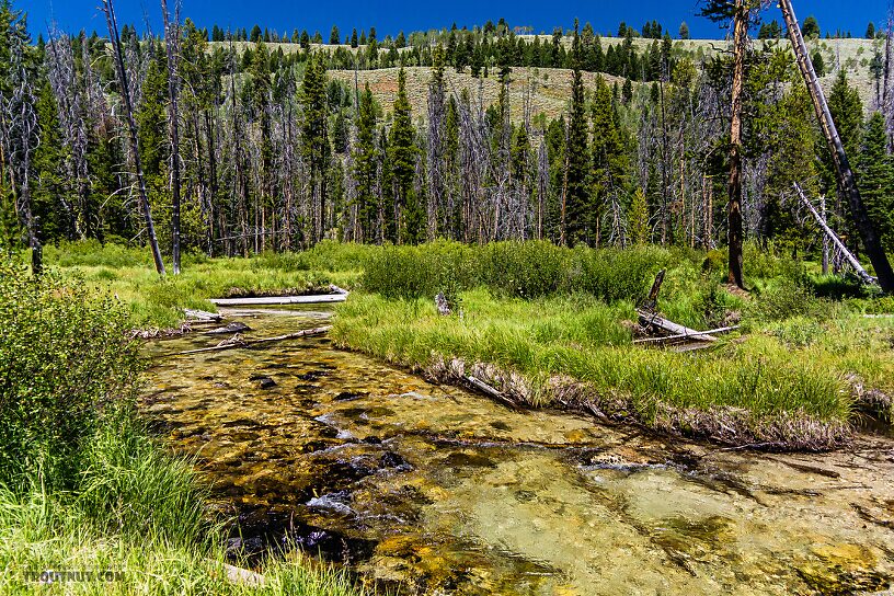  From Mystery Creek # 256 in Idaho.