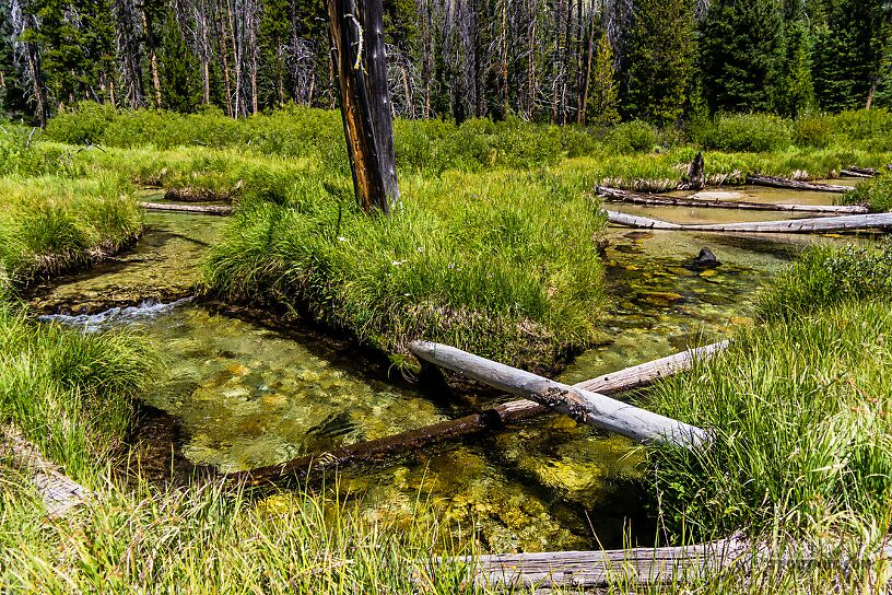  From Mystery Creek # 256 in Idaho.